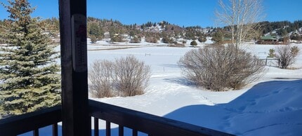 1185 Hersch Ave in Pagosa Springs, CO - Building Photo - Building Photo