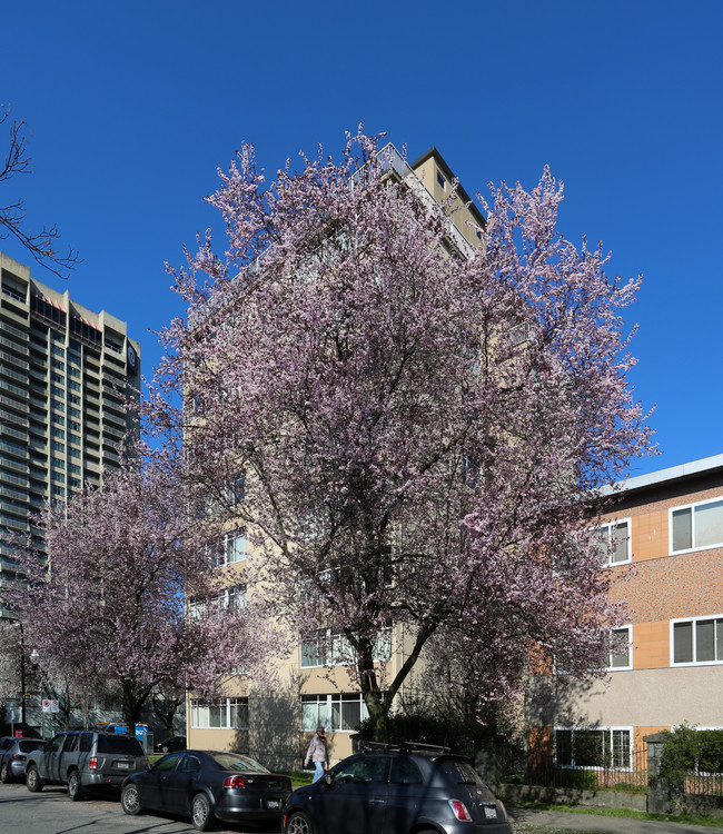 1050 Bidwell St in Vancouver, BC - Building Photo - Building Photo