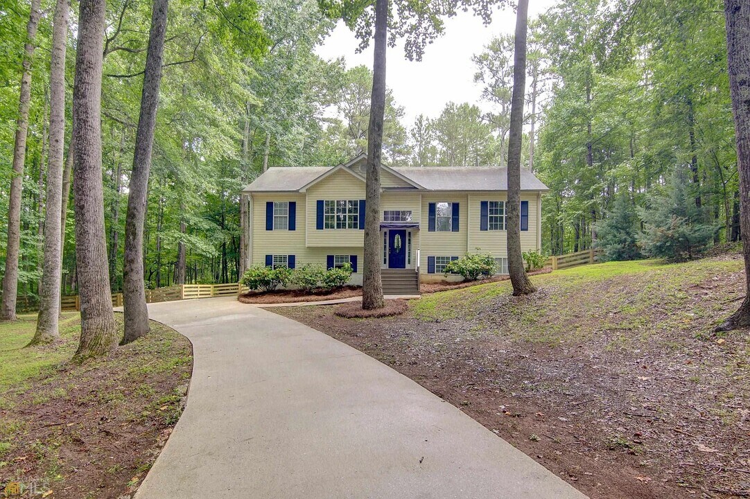 68 Dundee Pl in Sharpsburg, GA - Building Photo