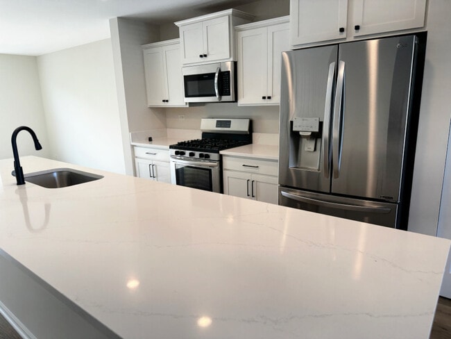 208 Goldenrod Dr in Elgin, IL - Building Photo - Building Photo