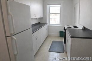 9 James St, Unit 1 in Brookline, MA - Building Photo
