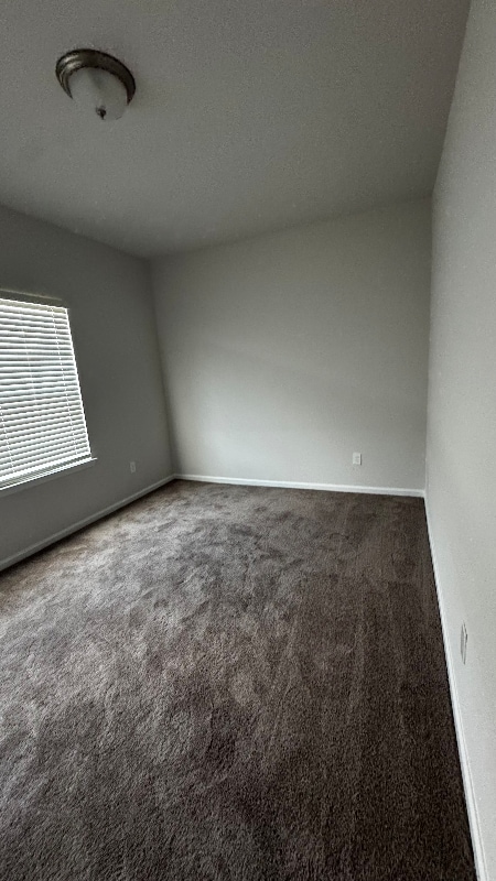 3339 Morning Fog Dr in Richmond, TX - Building Photo - Building Photo