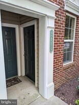 42515 Hollyhock Terrace in Ashburn, VA - Building Photo