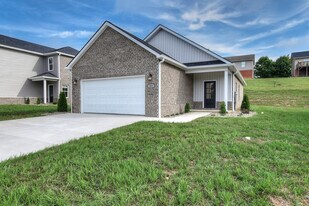 2078 Haystack Cir in Johnson City, TN - Building Photo