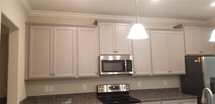 18701 Noble Caspian Dr in Lutz, FL - Building Photo - Building Photo