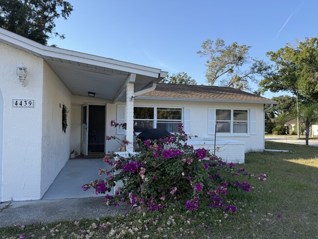 4439 Black Fox Dr in New Port Richey, FL - Foto de edificio - Building Photo