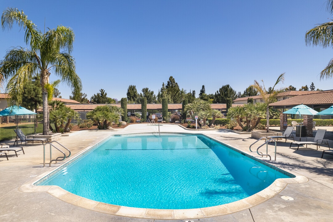 Pines Apartments in Fullerton, CA - Building Photo