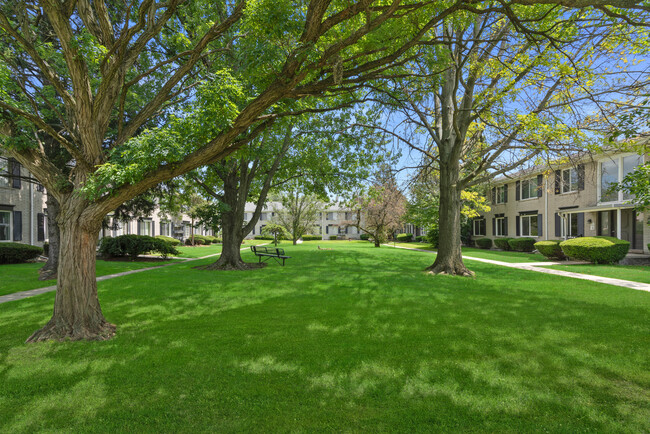 Cambridge Square Apartments photo'