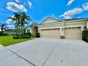 10530 Palm Cove Ave in Tampa, FL - Building Photo - Building Photo