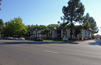 Willow Tree Apartments in Sacramento, CA - Building Photo - Building Photo