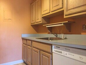 2104 Pauline Blvd in Ann Arbor, MI - Building Photo - Building Photo