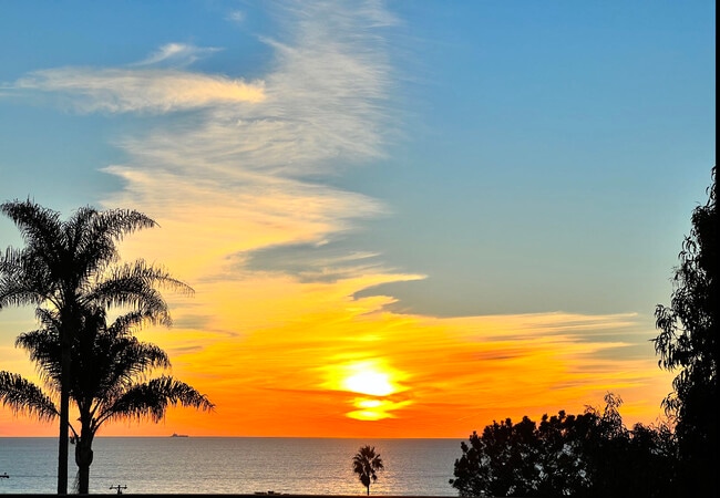 1105 Camino del Mar, Unit D