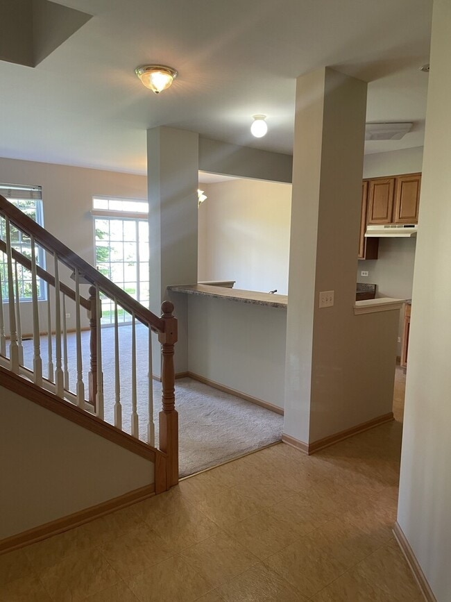 160 Concord Dr S in Oswego, IL - Building Photo - Building Photo