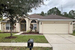 16416 Bridgewalk Dr in Fish Hawk, FL - Building Photo
