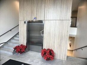 41 Malvern St in Boston, MA - Building Photo - Building Photo