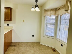 3524 Willowview Ct in Aurora, IL - Building Photo - Building Photo