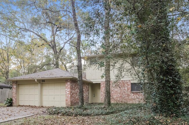 36 W Bigelow Oak Ct in The Woodlands, TX - Building Photo - Building Photo
