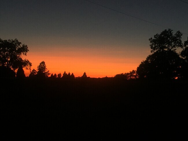 3333 Hamblen Ct, Unit Lower unit Barn in Cool, CA - Building Photo - Building Photo