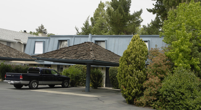 100 Cleaveland Rd in Pleasant Hill, CA - Foto de edificio - Building Photo