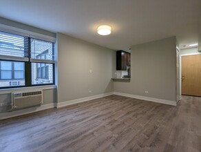 456 W Barry Ave, Unit 523 in Chicago, IL - Building Photo - Building Photo