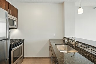 335 E Ohio St in Chicago, IL - Foto de edificio - Building Photo