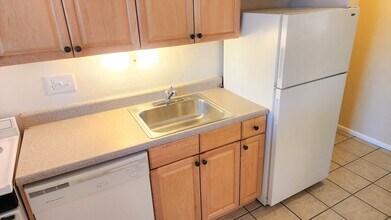 918 S Logan St, Unit 103 in Denver, CO - Building Photo - Building Photo