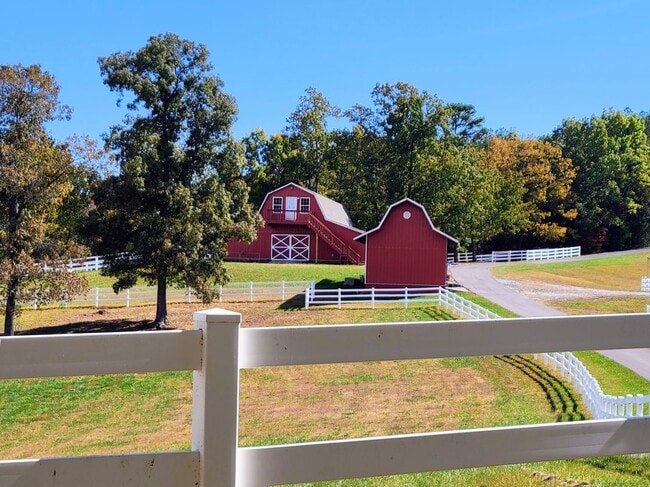 property at 4950 Hoof Beat Trail