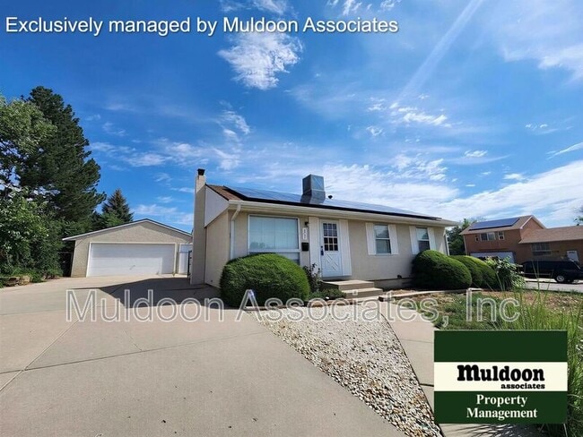 property at 37 Massari Rd