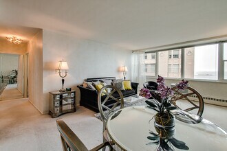 1150 N Lake Shore Dr in Chicago, IL - Building Photo - Building Photo