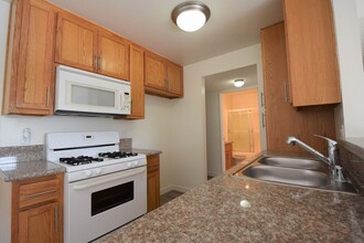 11760 Hamlin St in Los Angeles, CA - Building Photo - Building Photo