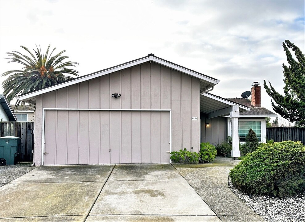 4856 Carrie Ct in Union City, CA - Building Photo