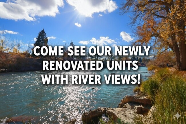 Shoreline Plaza Apartments