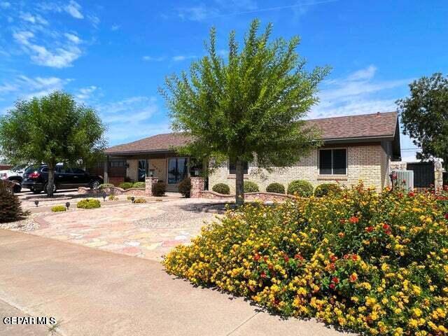 9005 Shaver Dr in El Paso, TX - Building Photo - Building Photo