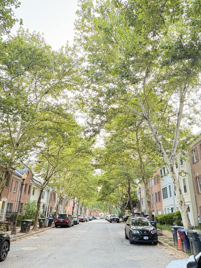 866 Hr Dr SE in Washington, DC - Building Photo - Building Photo