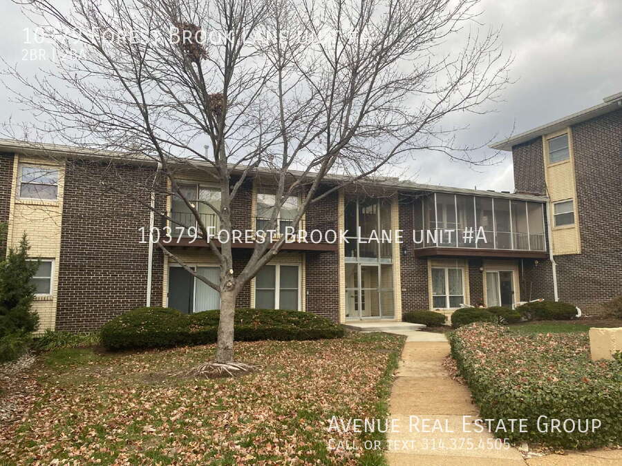 10379 Forest Brook Ln in St. Louis, MO - Building Photo
