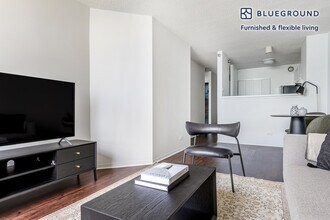 445 E Ohio St in Chicago, IL - Building Photo - Building Photo