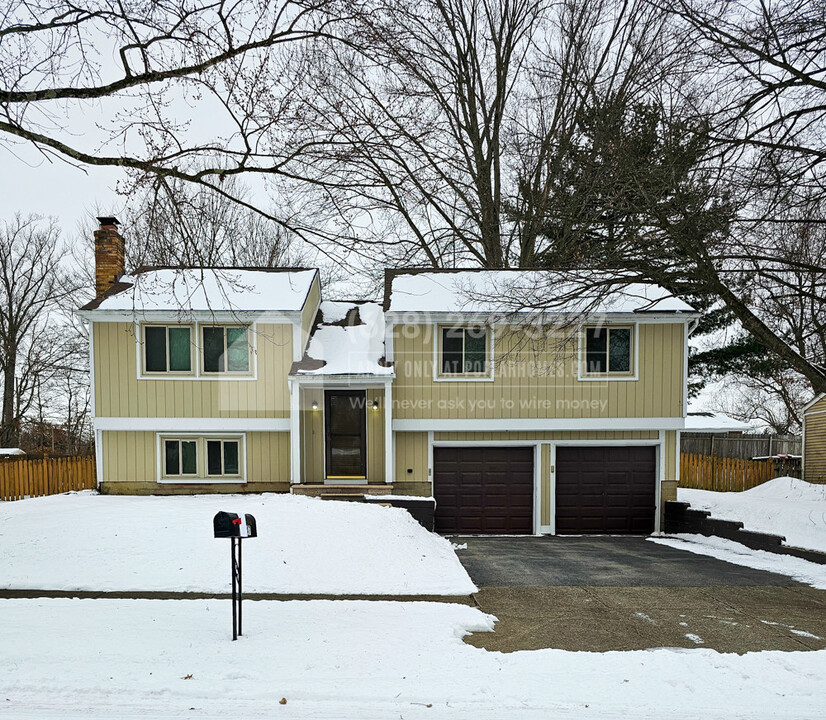 7847 Blackwillow St in Dublin, OH - Building Photo