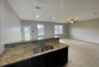 19609 James Manor St in Manor, TX - Building Photo - Building Photo