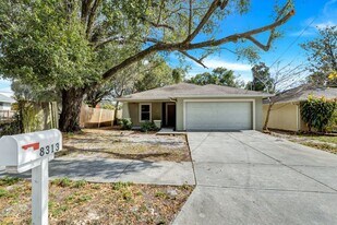 8313 N 12th St in Tampa, FL - Building Photo
