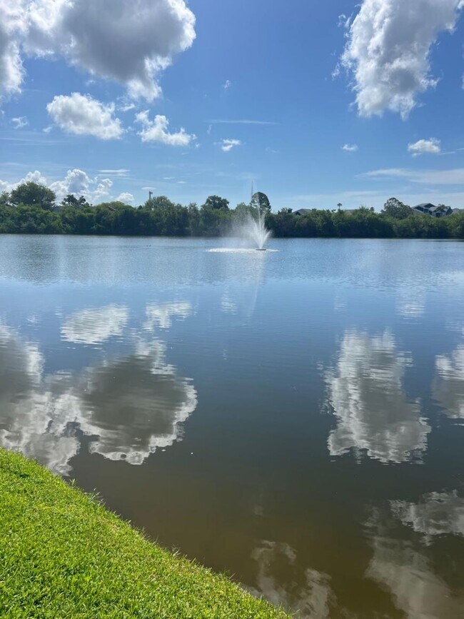 796 Village Lake Terrace in St. Petersburg, FL - Building Photo - Building Photo