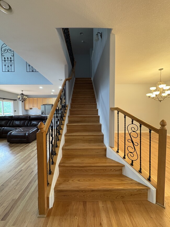 23405 Rockdale Pl in Parker, CO - Building Photo - Building Photo