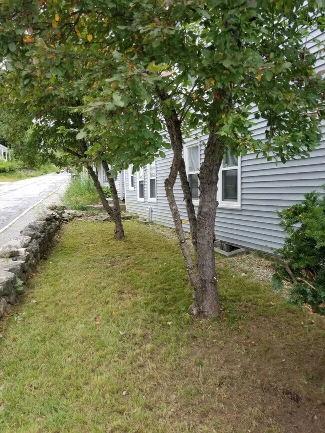 1 Vine St in Peterborough, NH - Building Photo - Building Photo