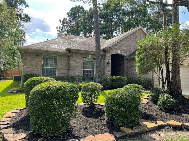 59 N Planchard Cir in Spring, TX - Building Photo - Building Photo