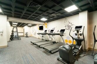 Flats on Fifth in Louisville, KY - Foto de edificio - Building Photo