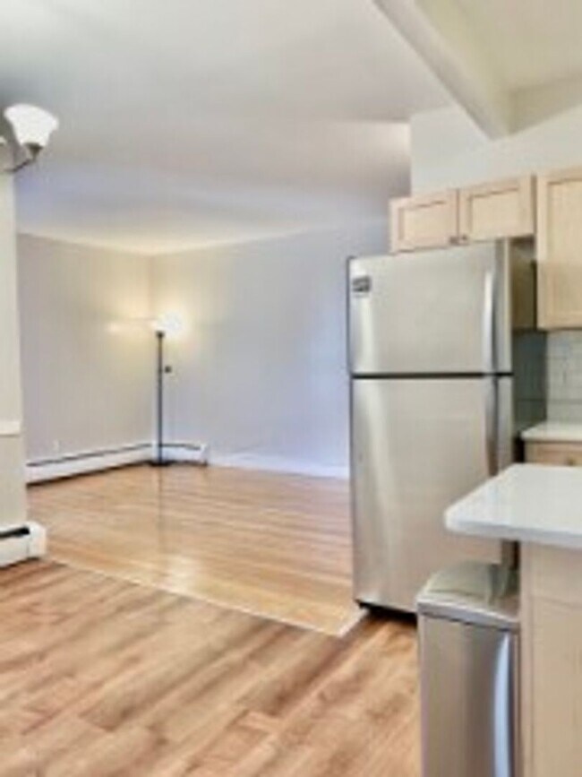 170 Winthrop Rd in Brookline, MA - Building Photo - Building Photo