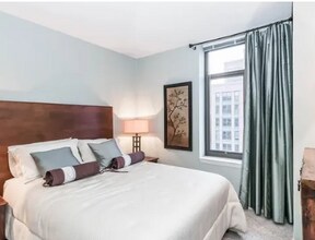 355 N Desplaines St in Chicago, IL - Building Photo - Building Photo