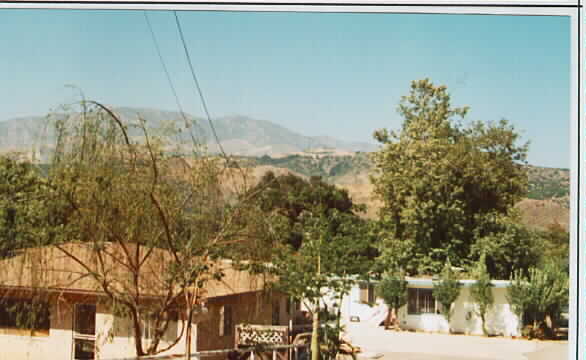 3968 Ojai Rd in Santa Paula, CA - Building Photo - Building Photo