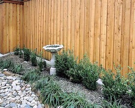 414 Plumwood Way in Fairview, TX - Building Photo - Building Photo