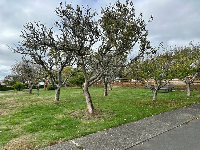 732 Hunts Dr in Mckinleyville, CA - Building Photo - Building Photo