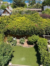 18 Laurel Ave in Belvedere, CA - Building Photo - Building Photo